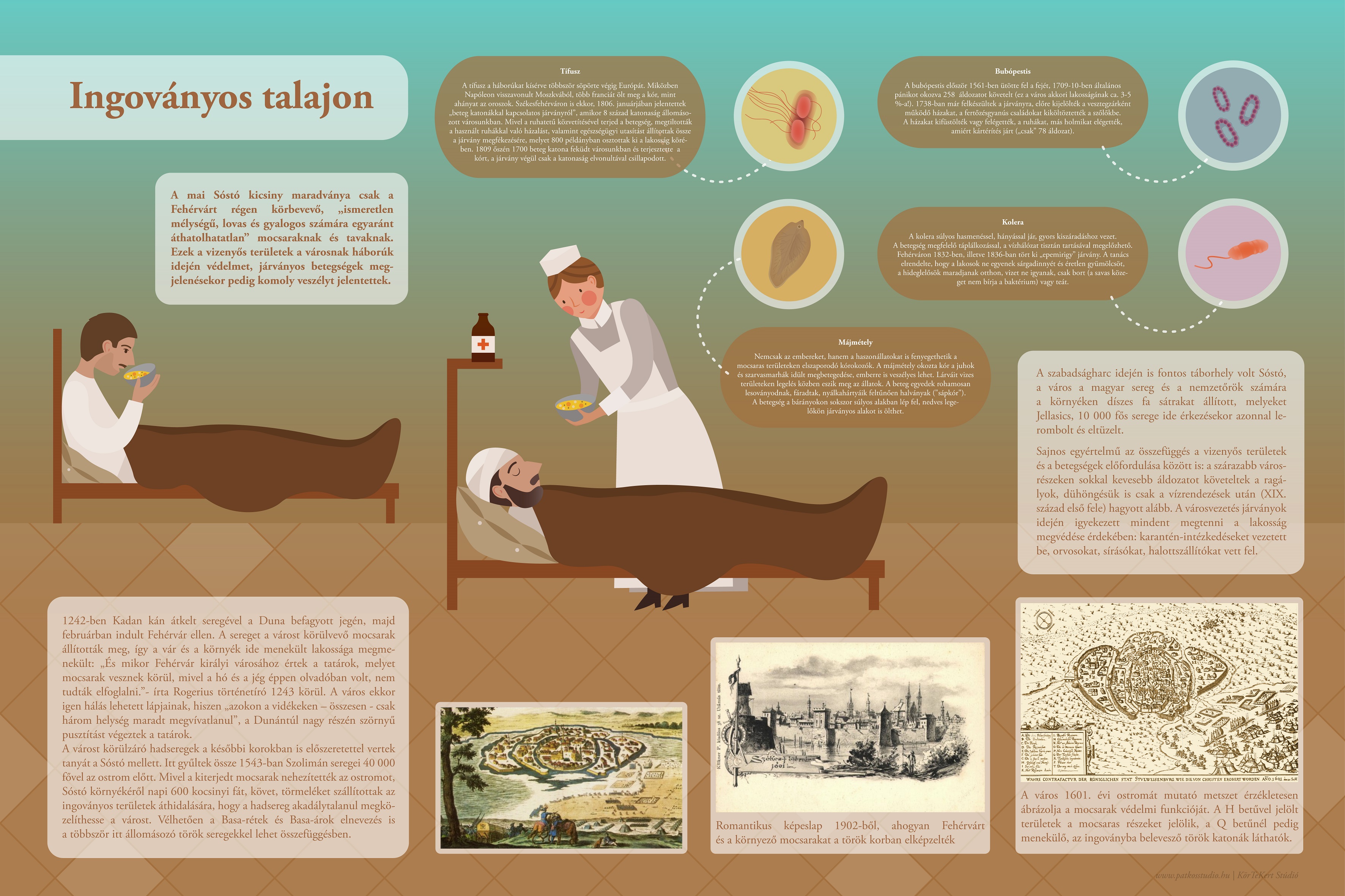 Educational trail at Sosto – Sentiero didattico alla riva del Sosto