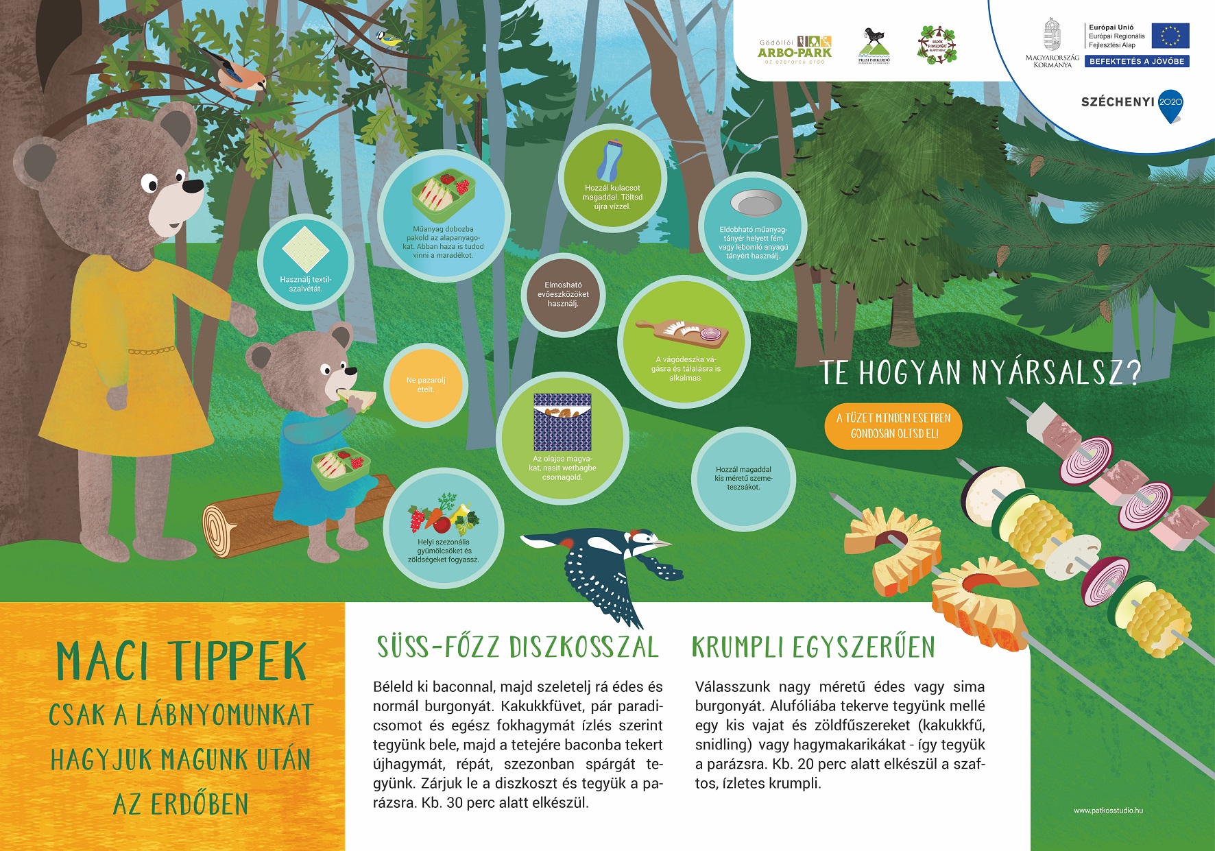 Tanösvény a gödöllői Arbo-Parkban