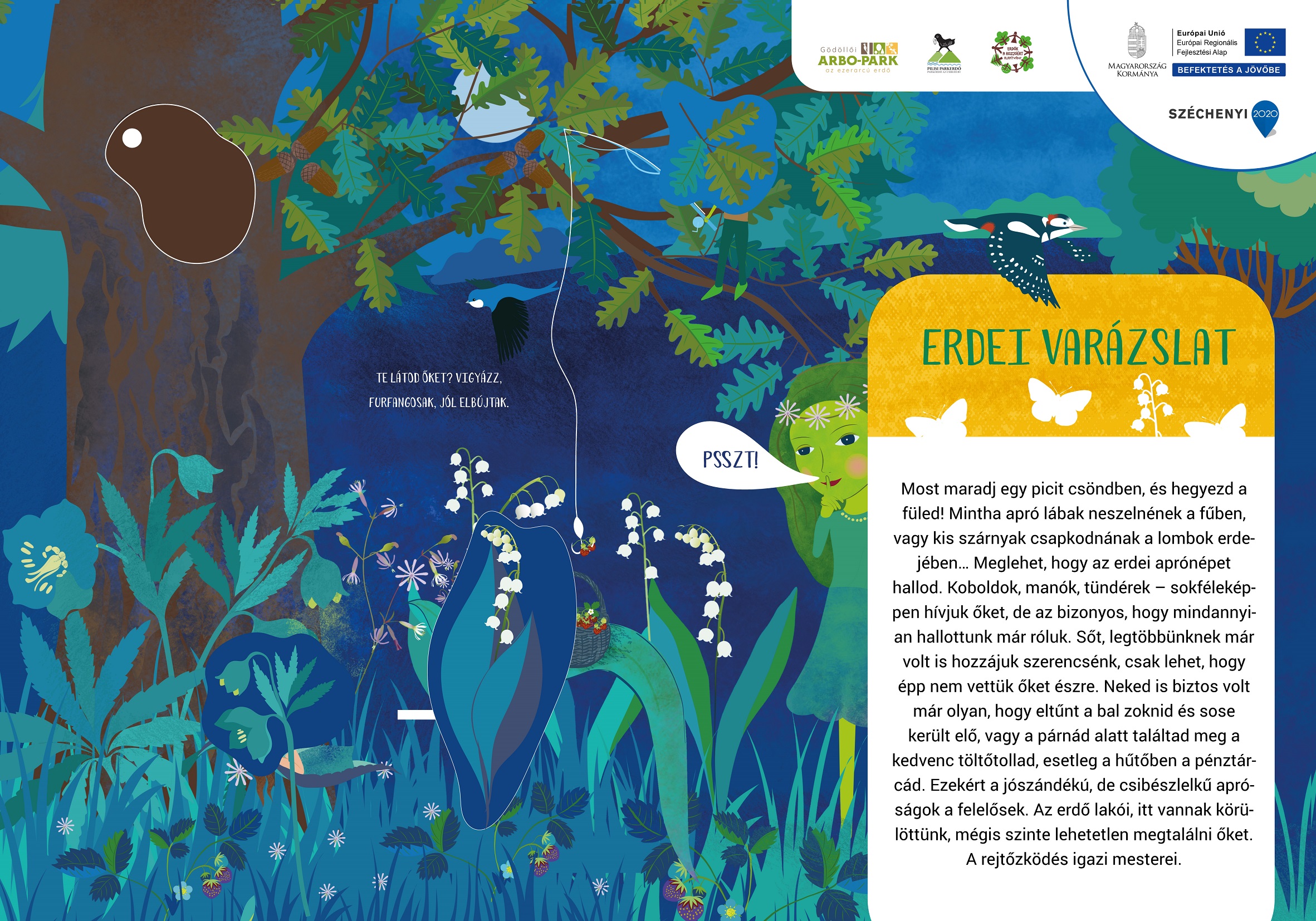 Tanösvény a gödöllői Arbo-Parkban