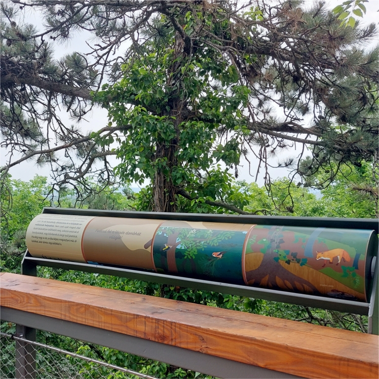 Fedezd fel a környék élővilágát!