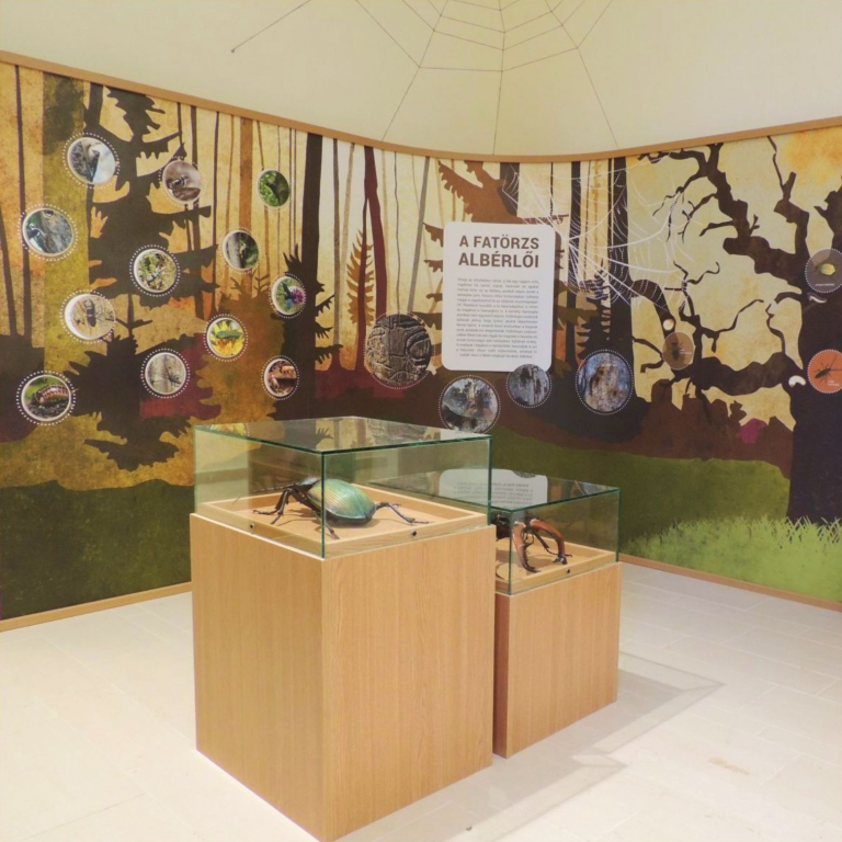 Part of the exhibition - Una parte della mostra