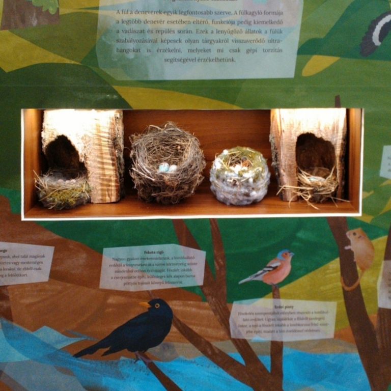 Nests and egg mockups - Nesti e modelli d'uova