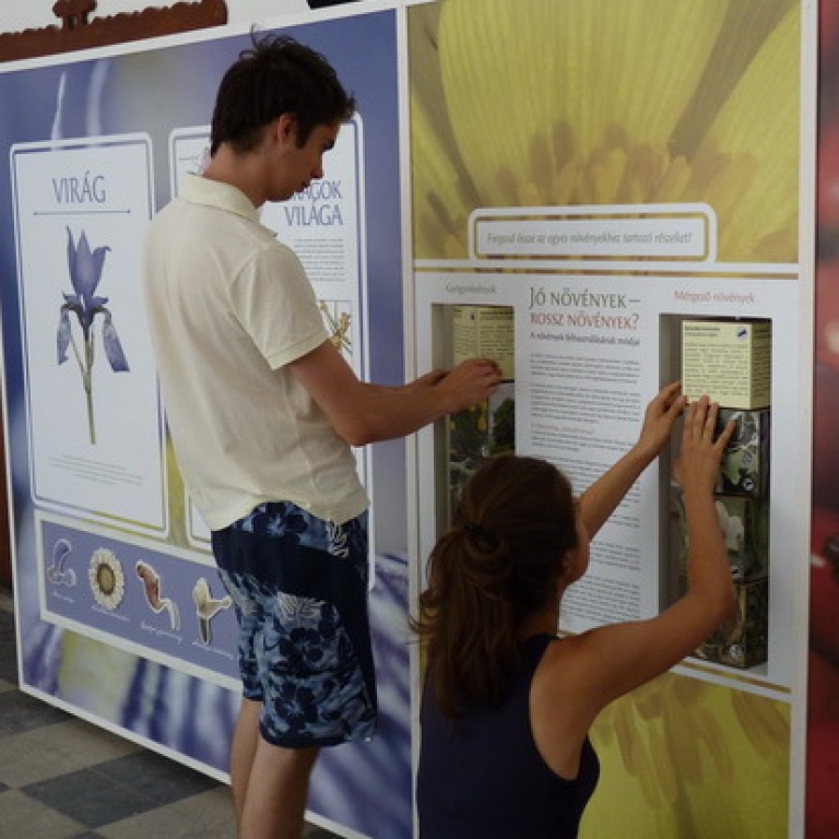 Kiállítási installációba építve