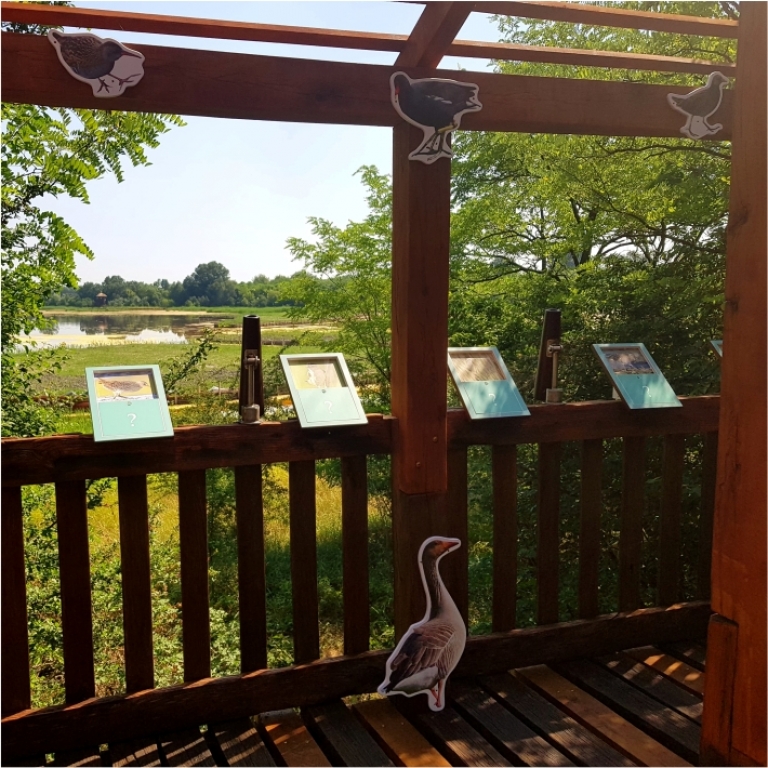 Viewpoint with interactive elements – Belvedere con elementi interattivi