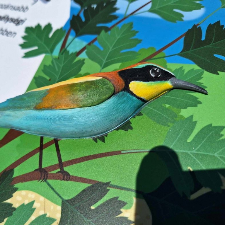 3D elem a tanösvénytáblán - gyurgyalag