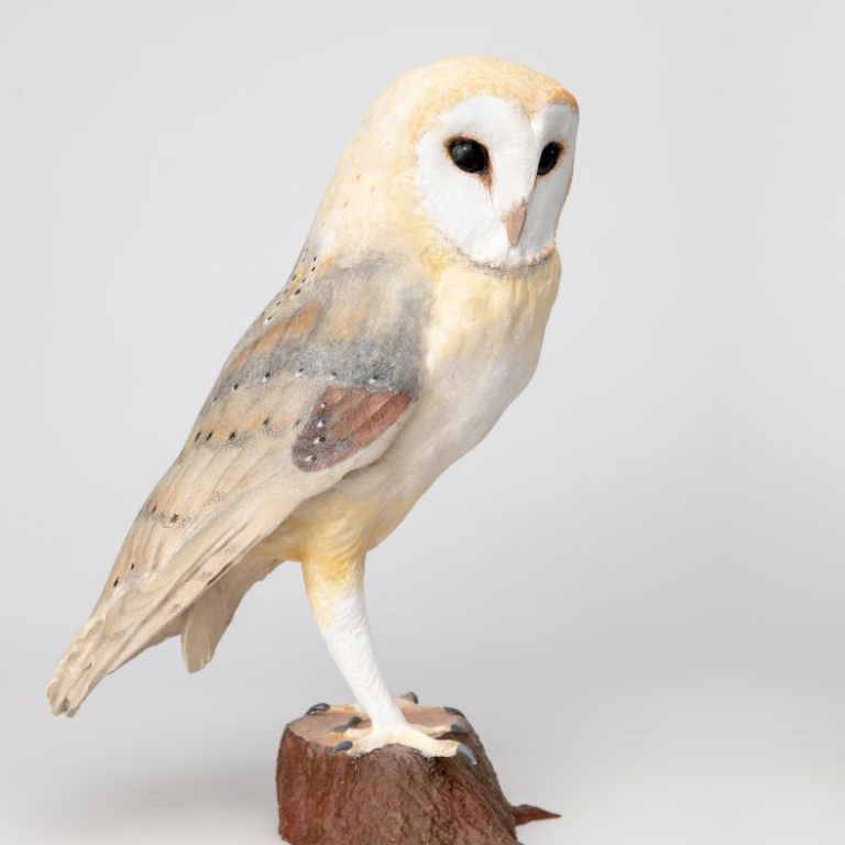 Gyöngybagoly 3D szobor