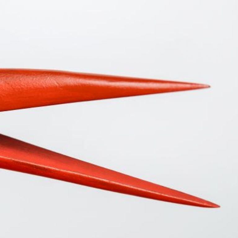 Stork's beak - Becco di una cicogna - 2