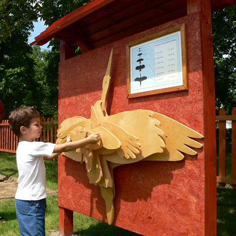 A madárszárnyfesztáv-minták