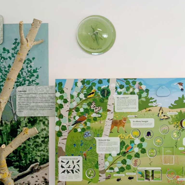 Részlet a kiállításból - interaktív fal