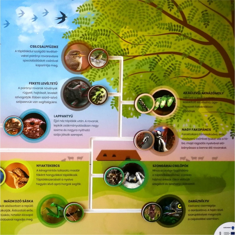 Interaktív tanösvénytábla - 2