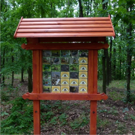 Tanösvény tábla memória játékkal