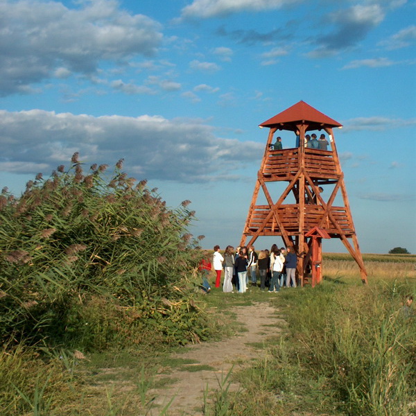 A tanösvény első állomása a madármegfigyelő toronnyal