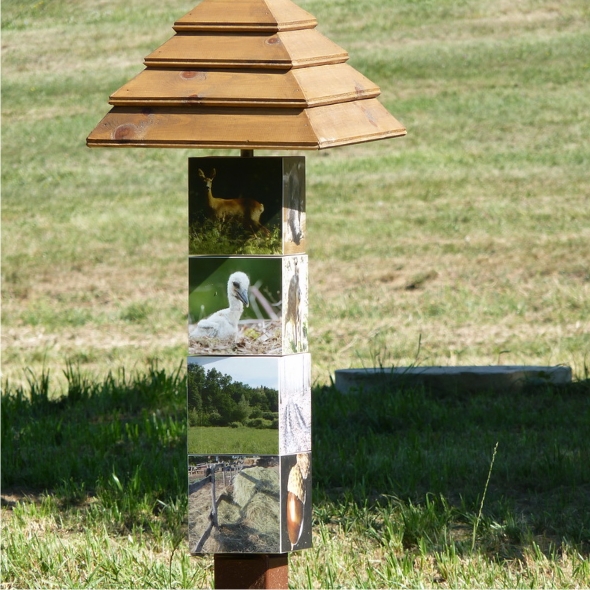 La colonna ruotabile