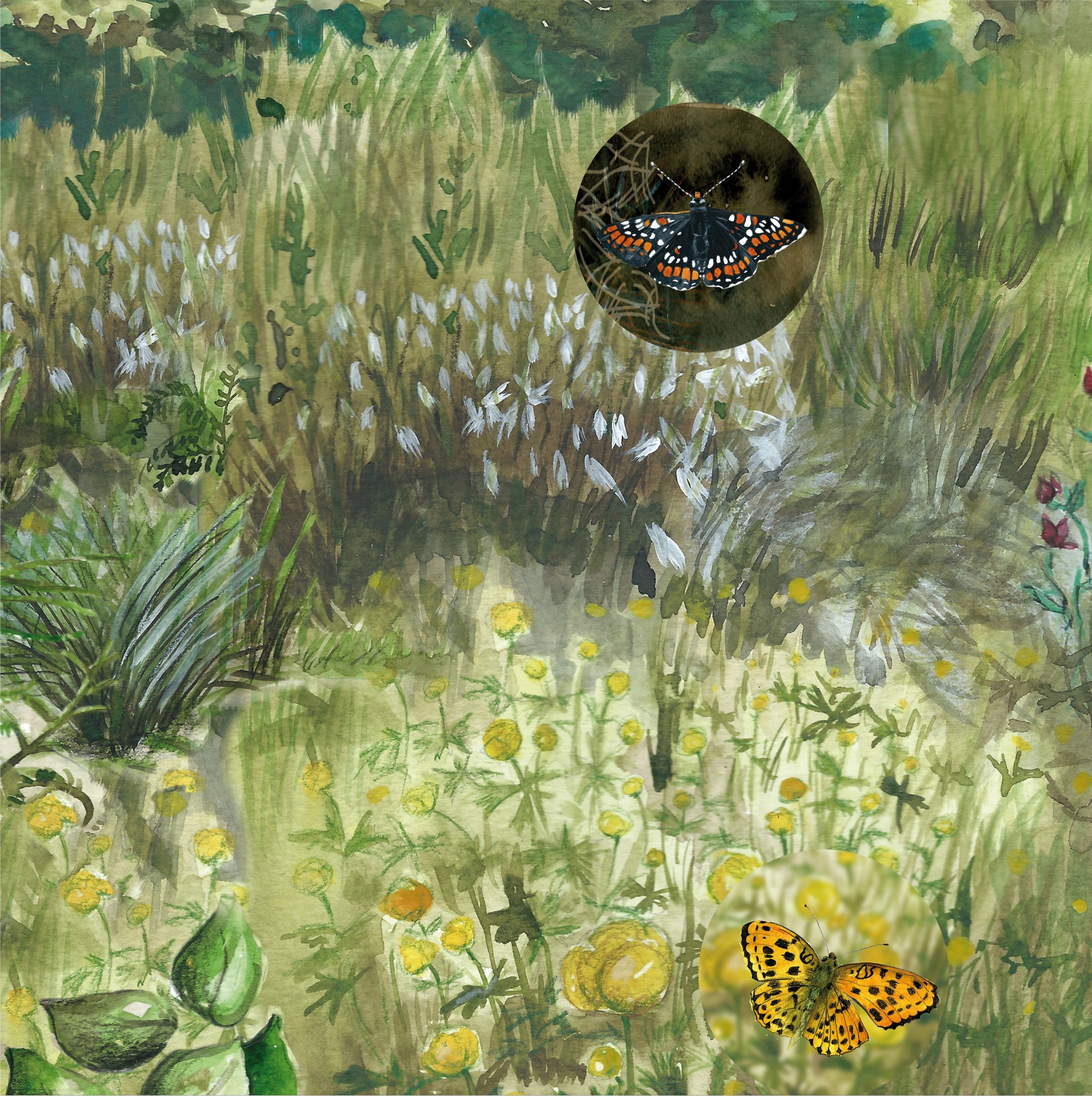 Az interaktív panorámakép egy részlete