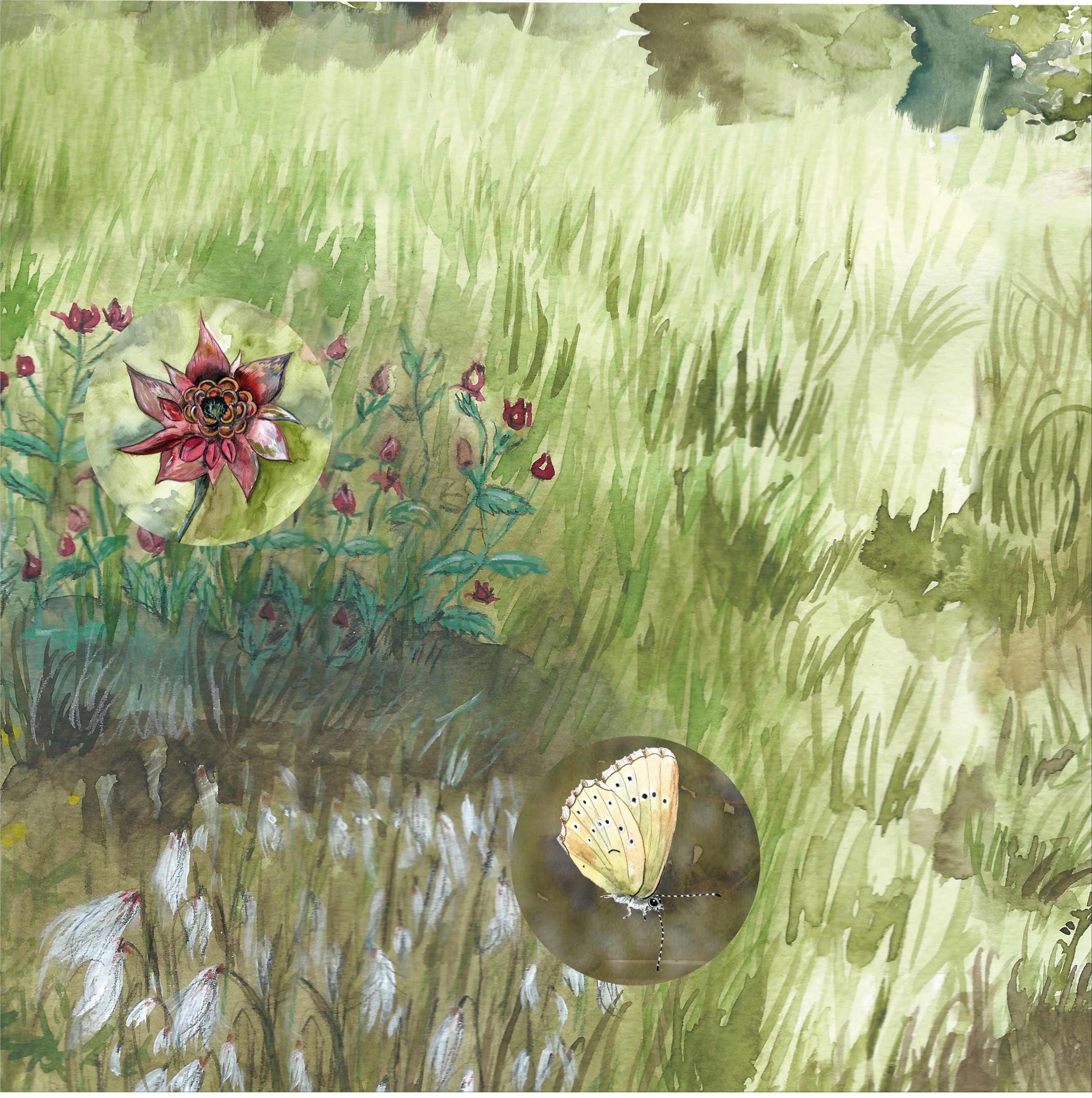 Az interaktív panorámakép egy részlete