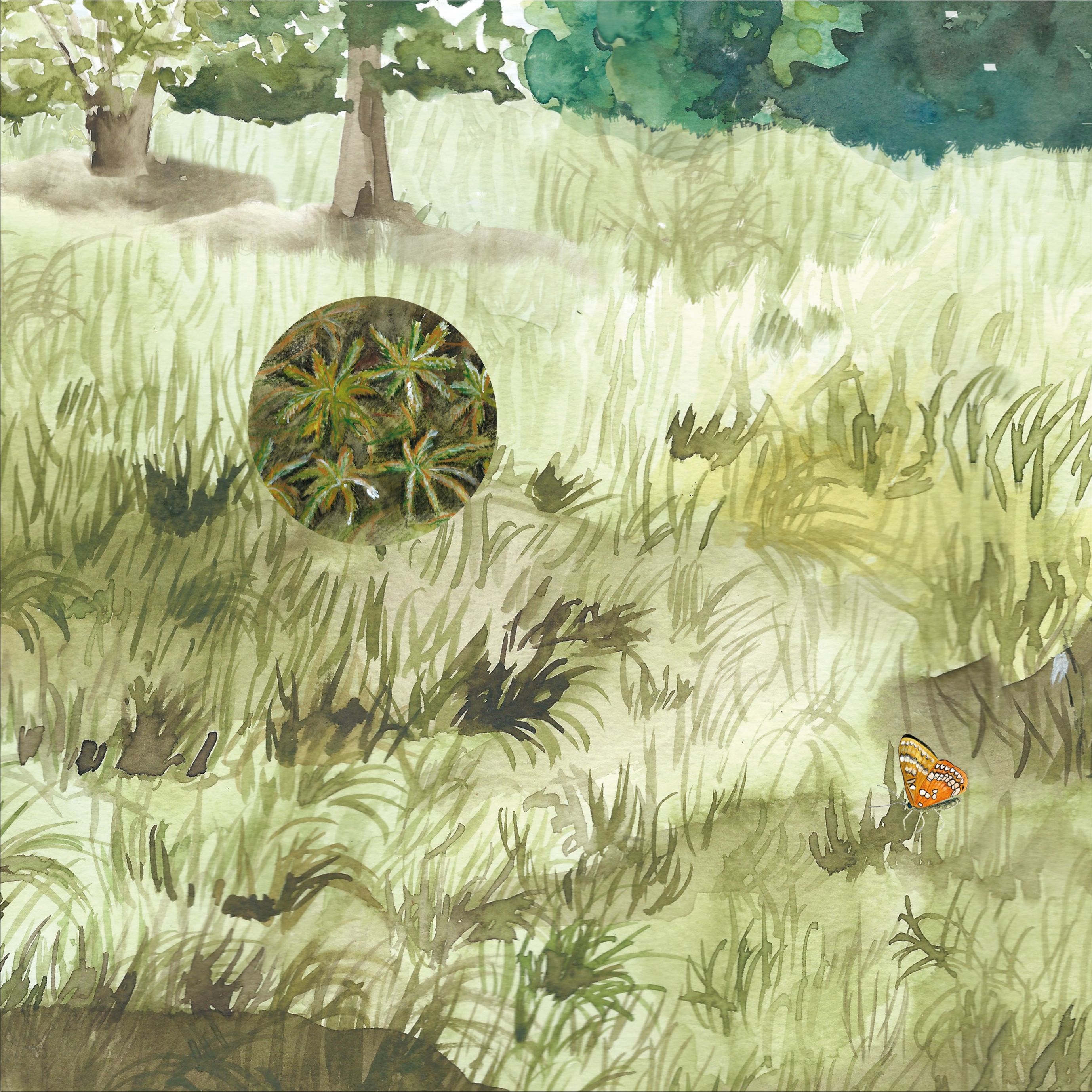 Az interaktív panorámakép egy részlete