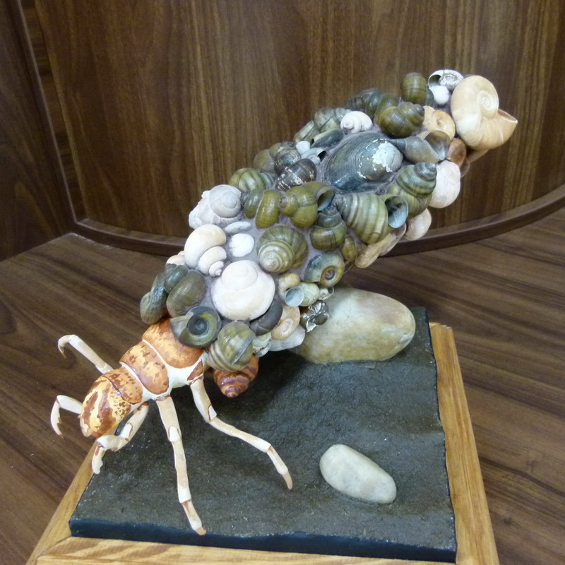 Az Őrség egyik jellegzetes rovarfaja a tegzes, amely lárva állapotában tegezt épít magának - a kiállításban két t