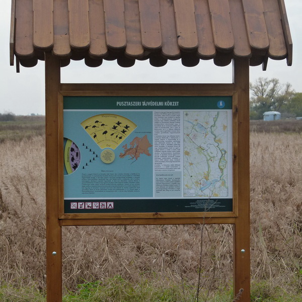 Az interaktív tanösvénytábla a darvak életével ismerteti meg a látogatókat