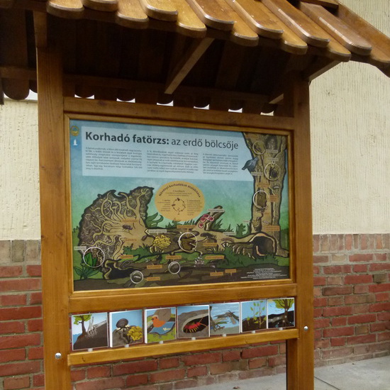 A korhadó fatörzs - interaktív tanösvénytábla a korhadó fa fontos szerepéről