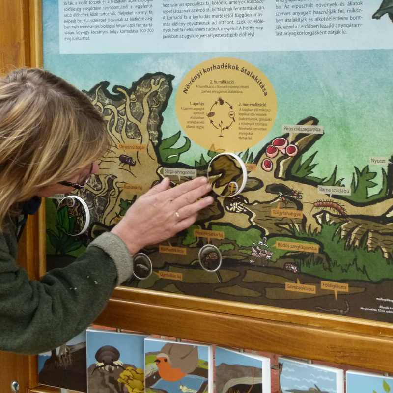 A korhadó fatörzs tábla egyedi grafikával, elforgatható korong interaktív elemekkel