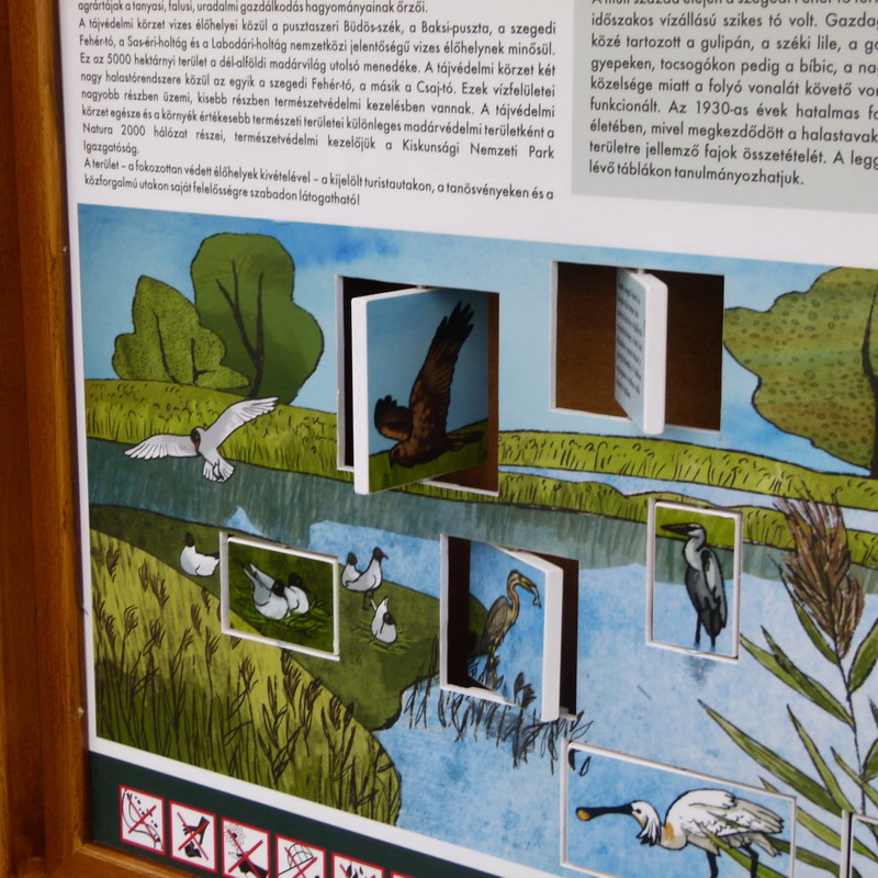 Az elfordítható lapkák a madarak fészkelési és táplálkozási szokásaival ismertetnek meg.