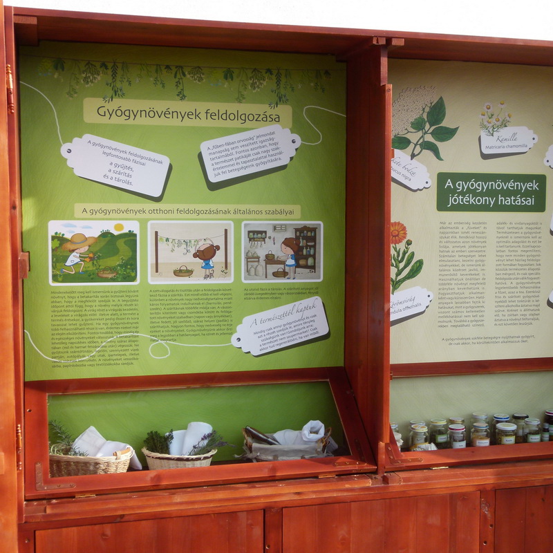 A szekrényben a gyógynövények gyűjtéséről és tárolásáról olvashatunk, alul a vitrinben pedig a felhasználási m
