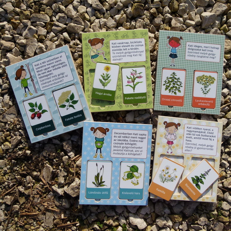 Milyen tünetre milyen gyógynövény jó? A játék tízféle növénnyel ismerteti meg a gyerekeket.