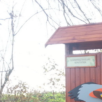 Interaktív tanösvénytábla - nézd meg, mekkora hozzád képest egy madár!