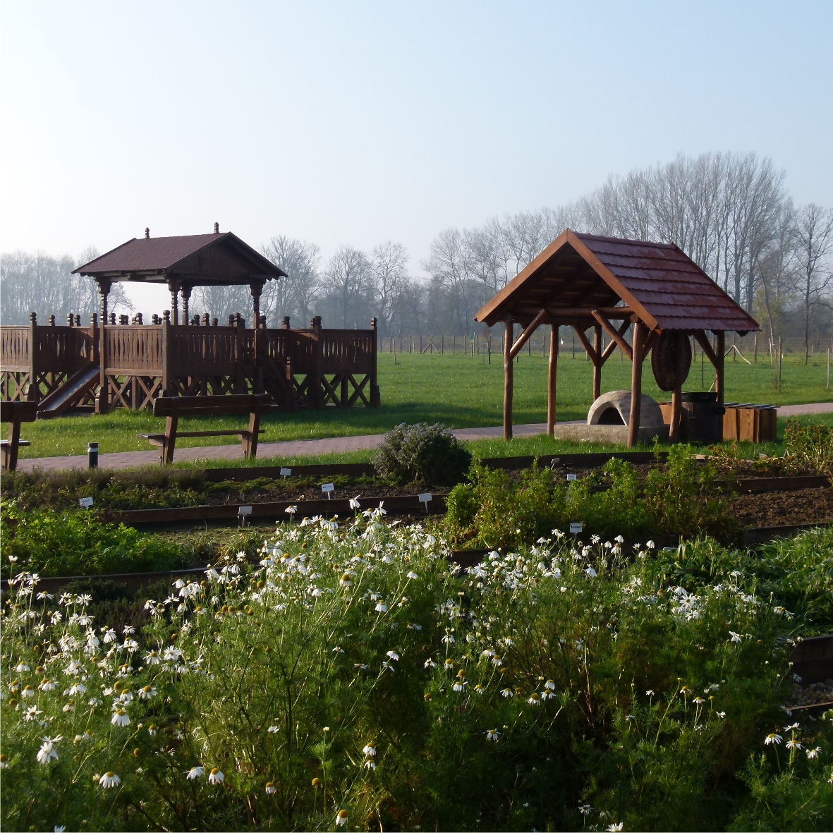 A gyógynövényeket tavasztól őszig csodálhatjuk meg