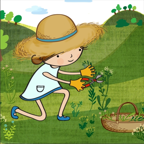 Az interaktív tanösvényen a gyógynövények gyűjtéséről és feldolgozásáról is olvashatunk.