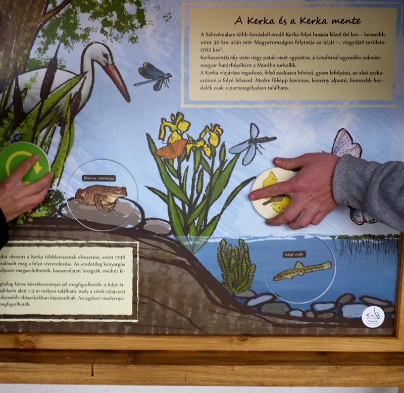 ...a korongok forgatásával egy-egy élőlényt ismerhetünk meg az élőhelyén.