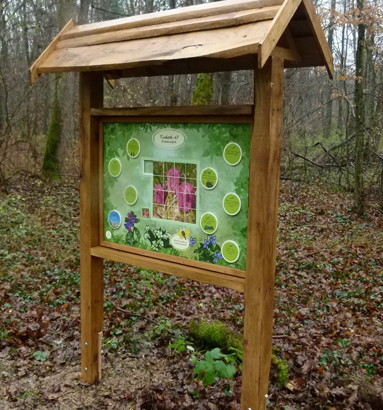 Interaktív tanösvénytábla: rakd ki a kockásliliomot és válaszolj a kérdésekre! A helyes megoldás a korongok alatt l