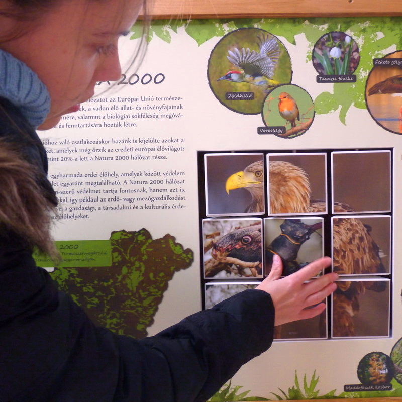 Forgatható háromszögek védett fajok képével