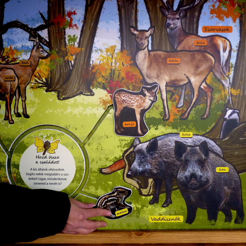 ...segíts a kiállatoknak, hogy hazataláljanak!