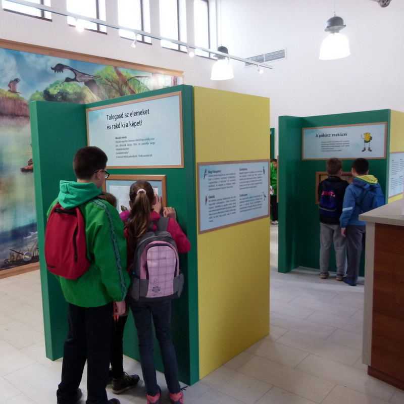 A terem közepén álló paravánokon többféle interaktív elem segítségével ismerhetjük meg a halászati eszközöket 