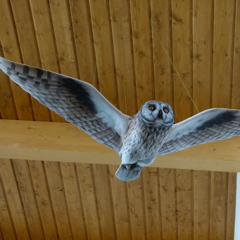 A kiállítótér mennyezetén a Körös vidék madarai repülnek