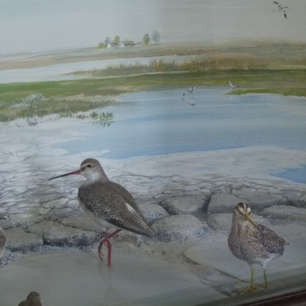 A tanösvény mellett kialakított, megújult kiállítás