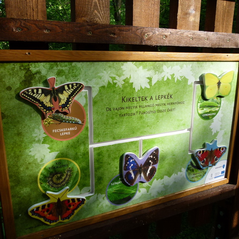 Játékos tanösvénytábla lepkékről és hernyókról