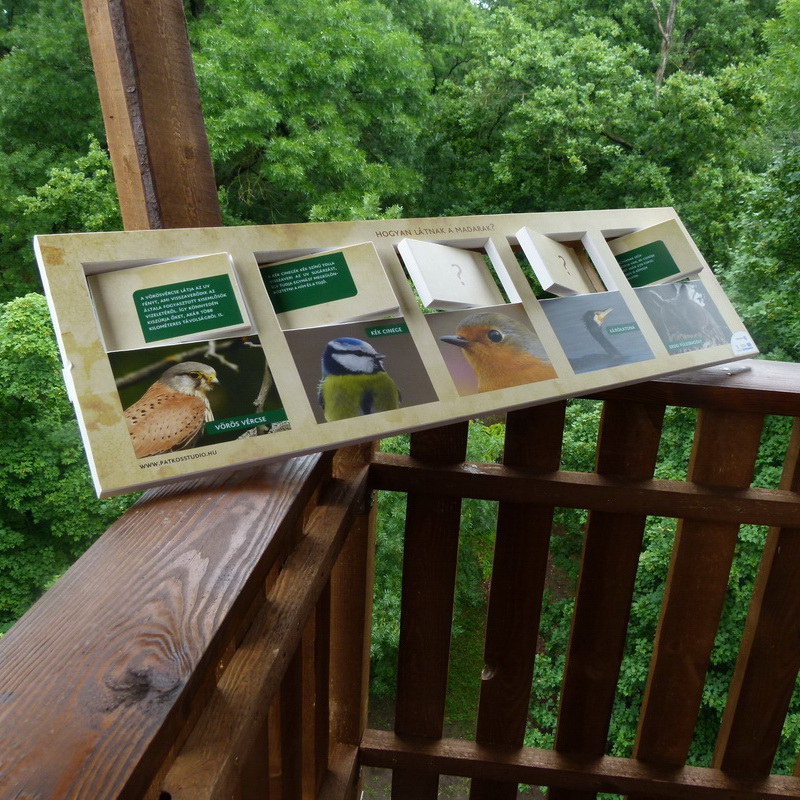 Hogyan látnak a madarak? Mássz fel a legfelső szintre és tudd meg Te is!