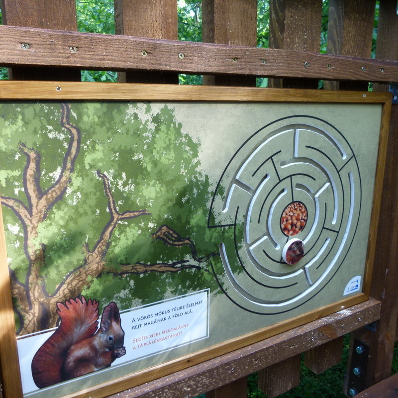 Segíts a mókusnak eleséget szerezni! 