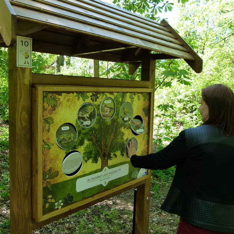 Interaktív tanösvénytábla a liget madarairól