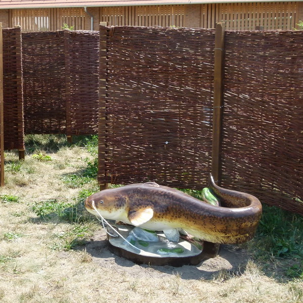A fonott vejsze bejáratánál egy harcsa várja a gyerekeket.