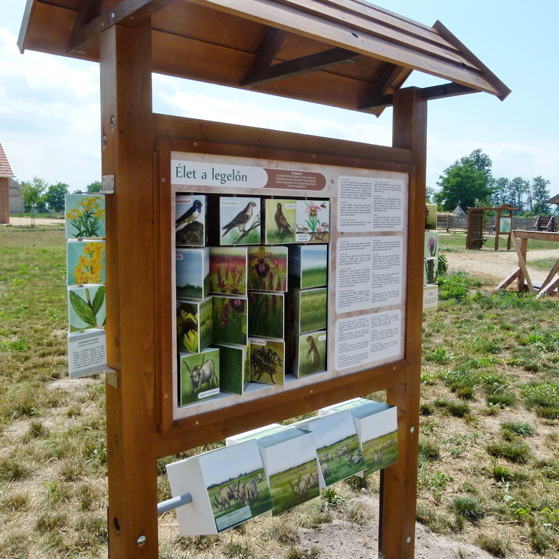 Ismerd meg a legelő élővilágát!