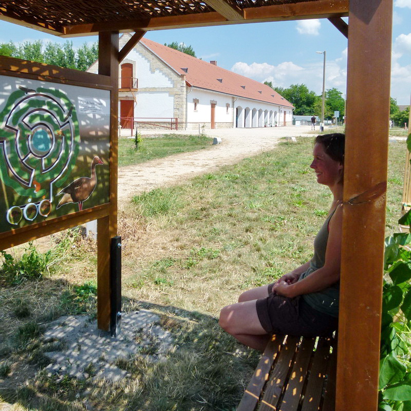 Pihenj árnyékban, közben pedig ismerd meg a vadludak életét!