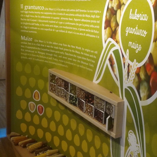 A kukorica fajtáinak változatosságára a beépített memória játék hívja fel a figyelmet.