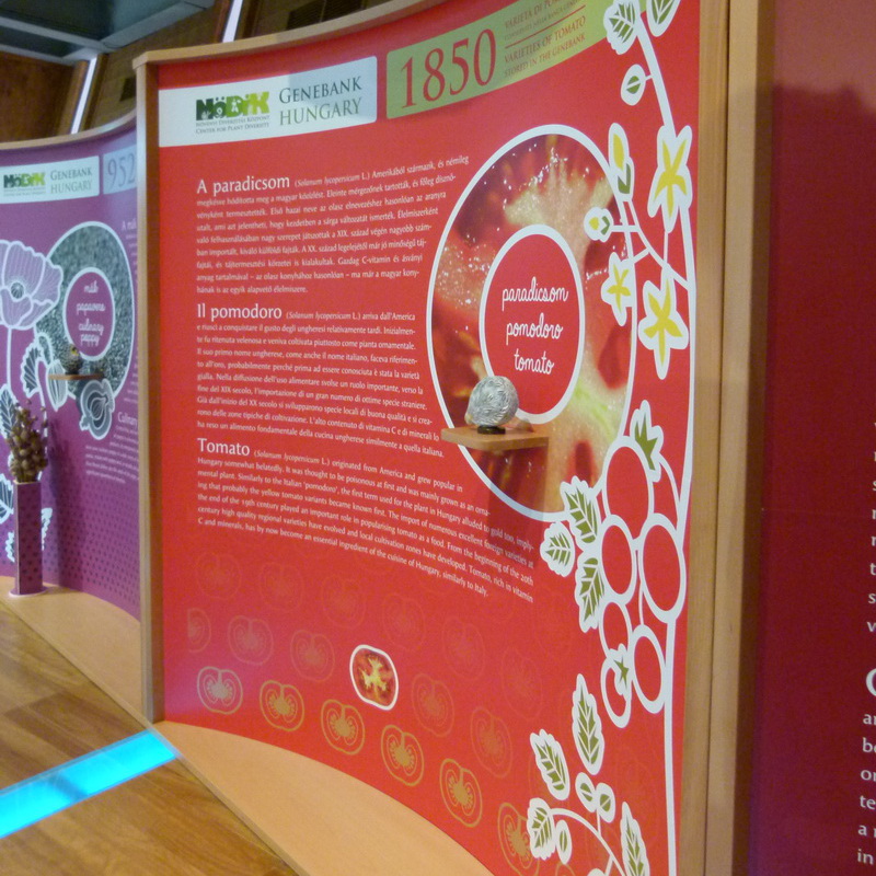 A paradicsom tablója