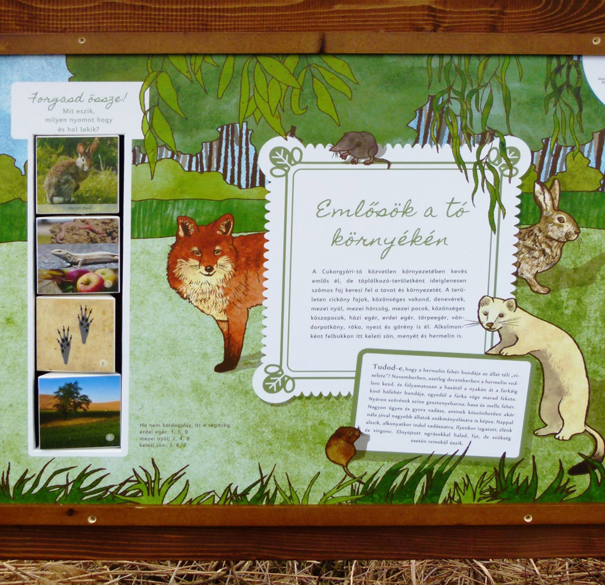 Emlősök a tó partján