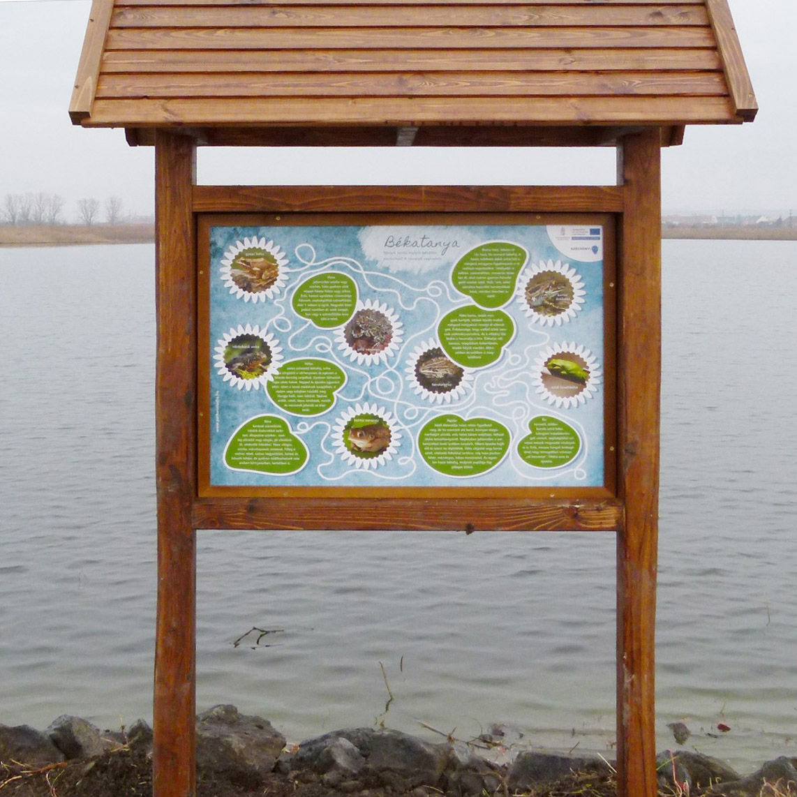 Békák a békatanyán