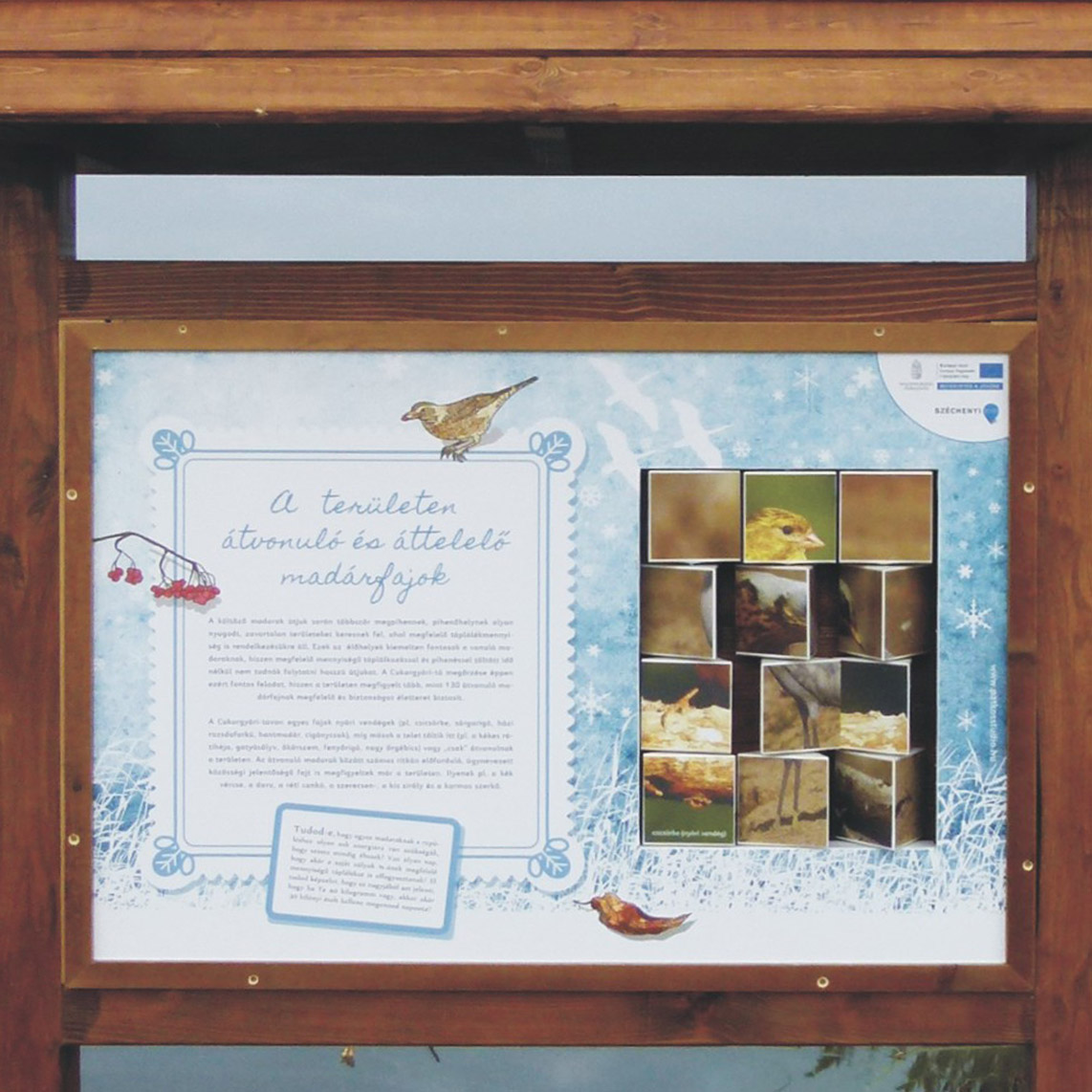 Madárvendégek a forgatós kockákon