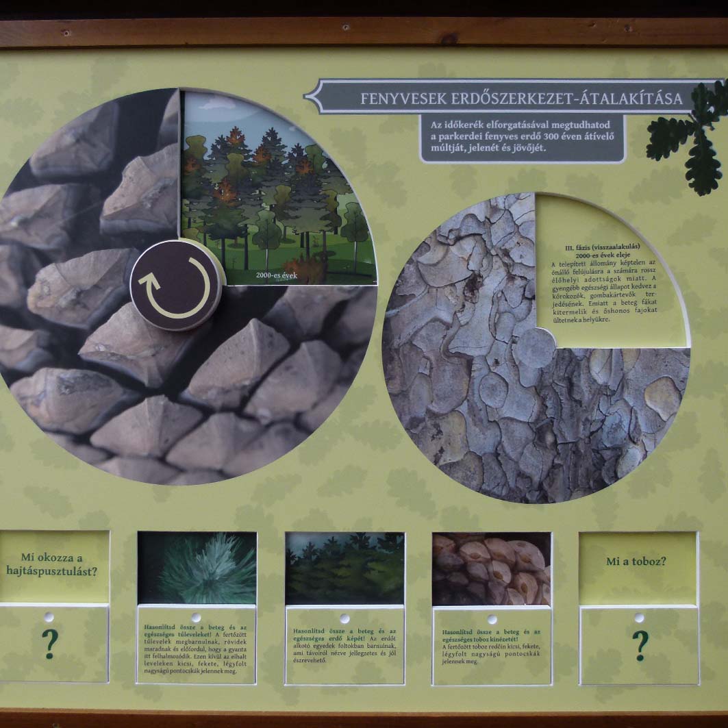 Fenyőerdőkből őshonos erdők...